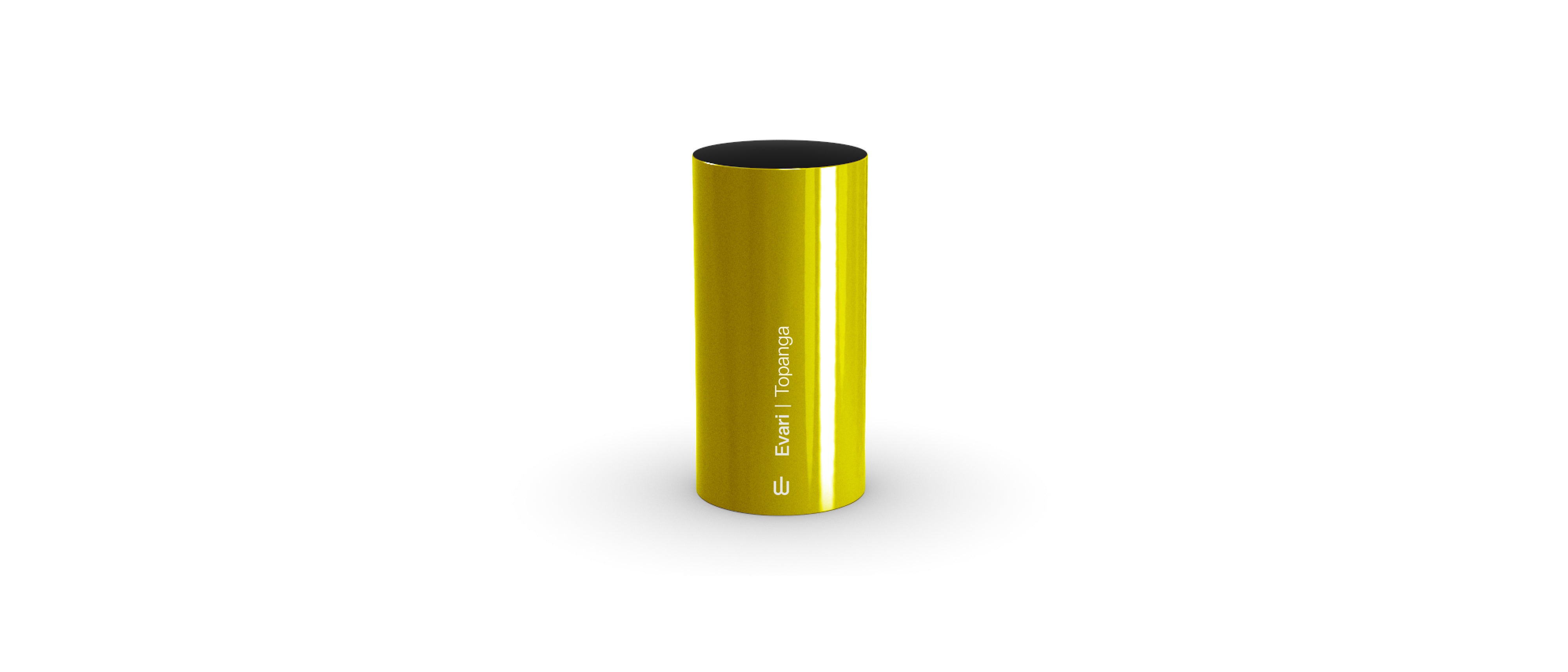 Topanga Gloss Paint Chip