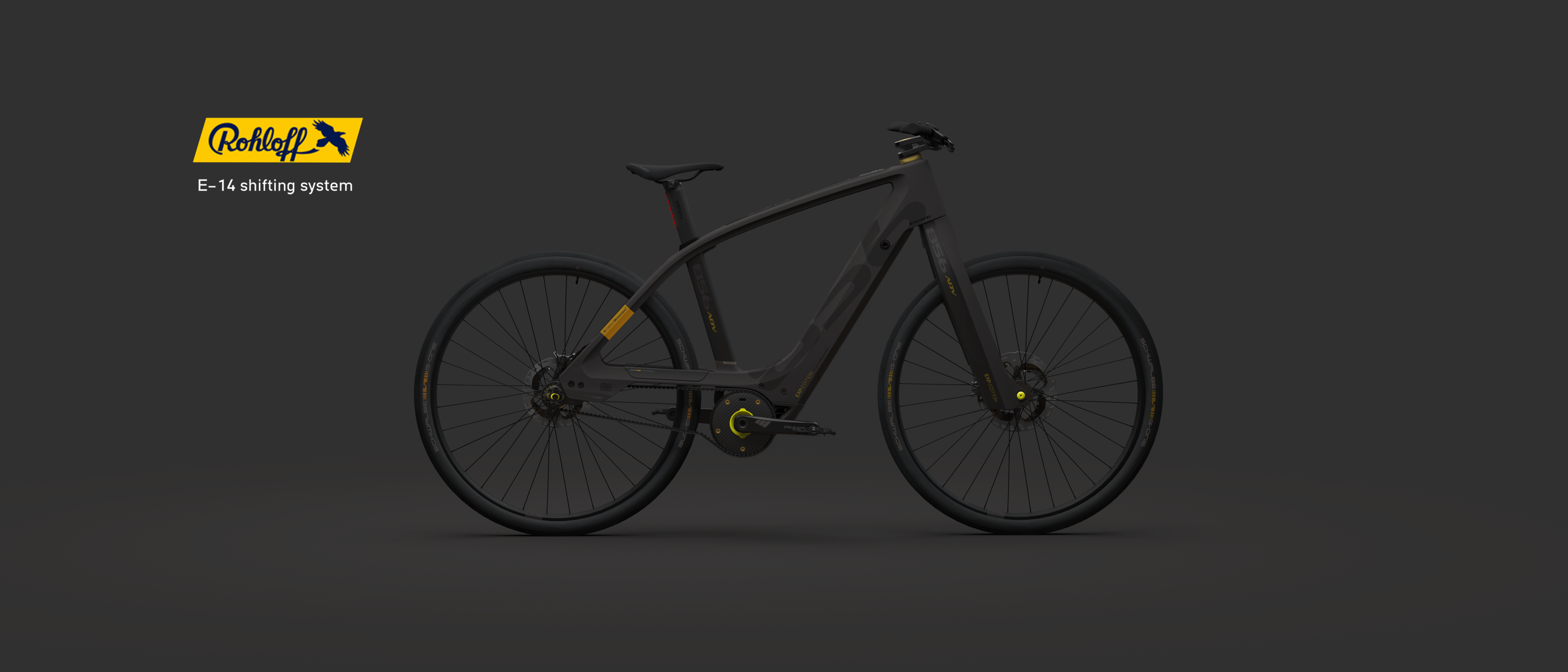 856_ADV EXP : Edition | Brun - Evari